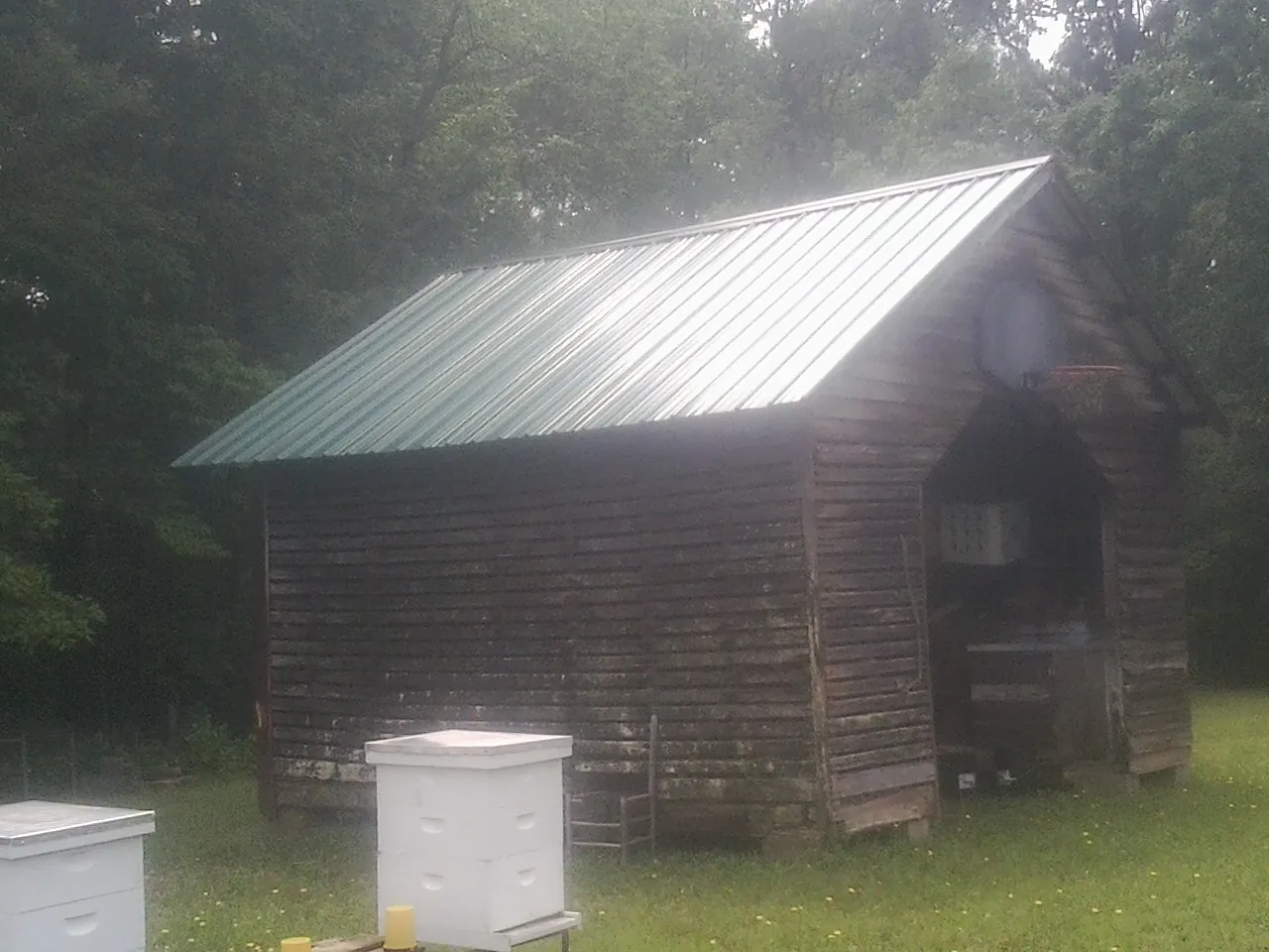 Green metal roof on a weathered barn beside stacked beehives in Waelder